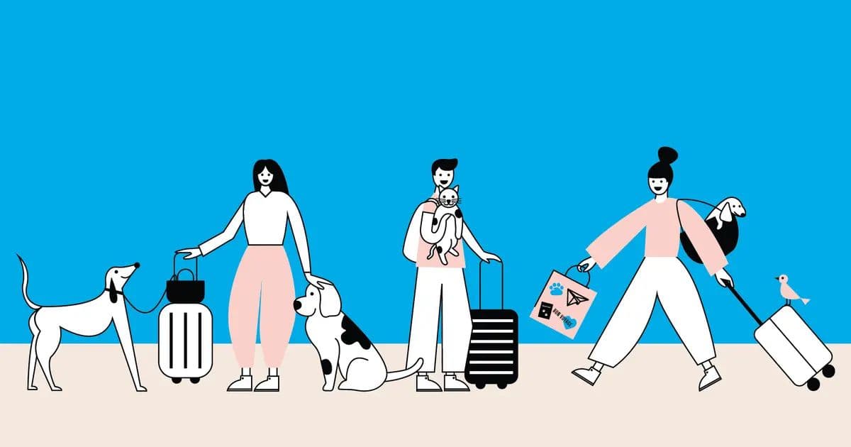 Pet travel hero